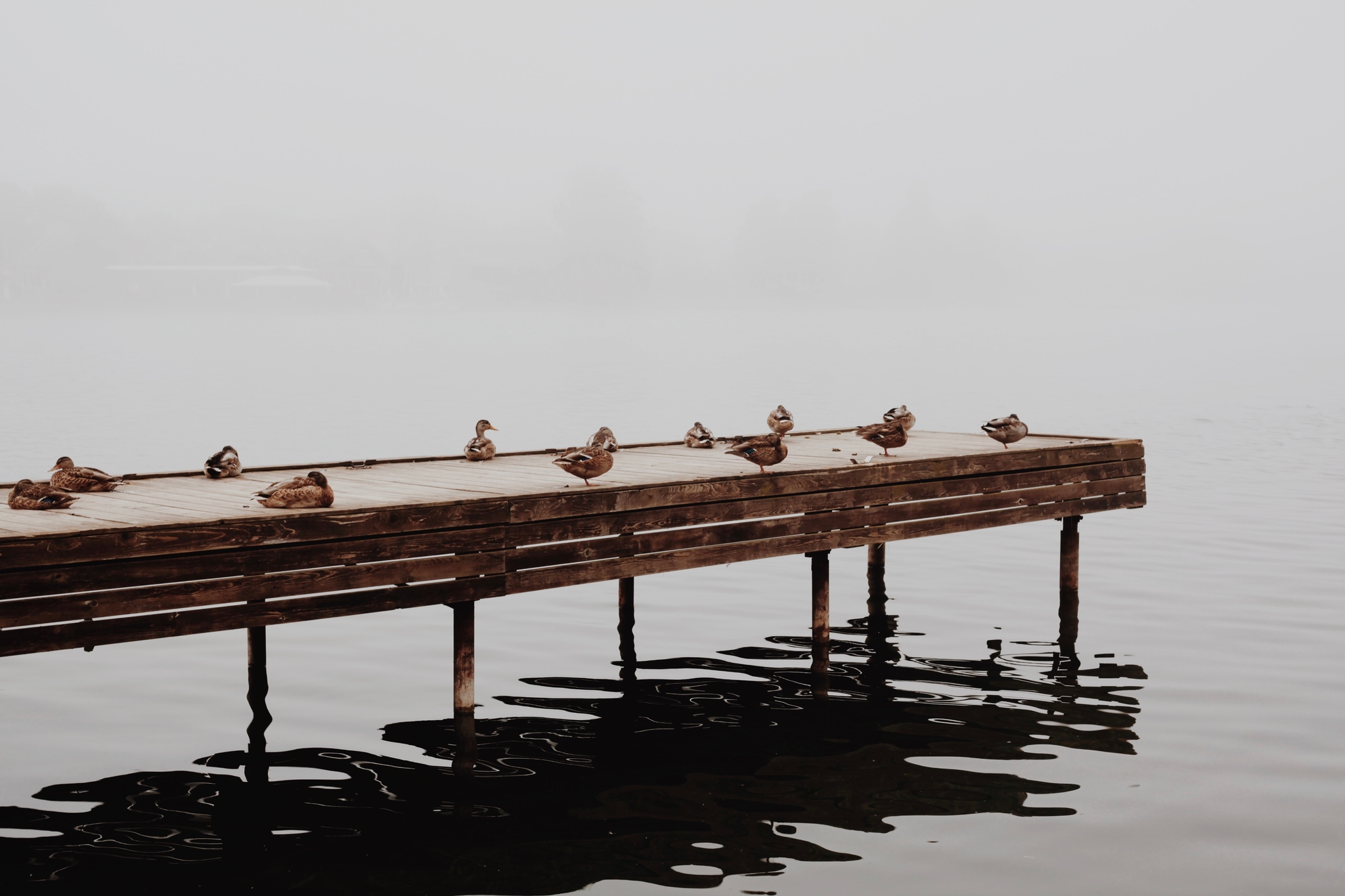 Processed with VSCO with m5 preset