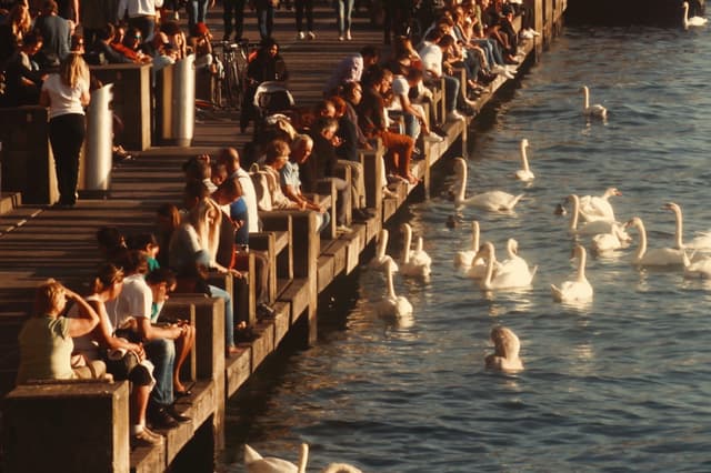 Processed with VSCO with dog2 preset